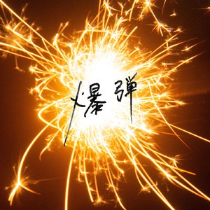 PeterLee大雕照片
