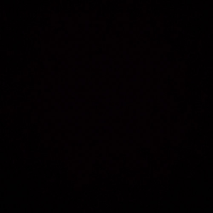 PeterLee大雕照片
