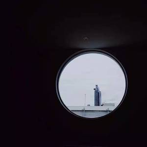 PeterLee大雕照片
