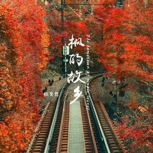 PeterLee大雕照片
