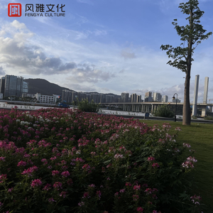 PeterLee大雕照片
